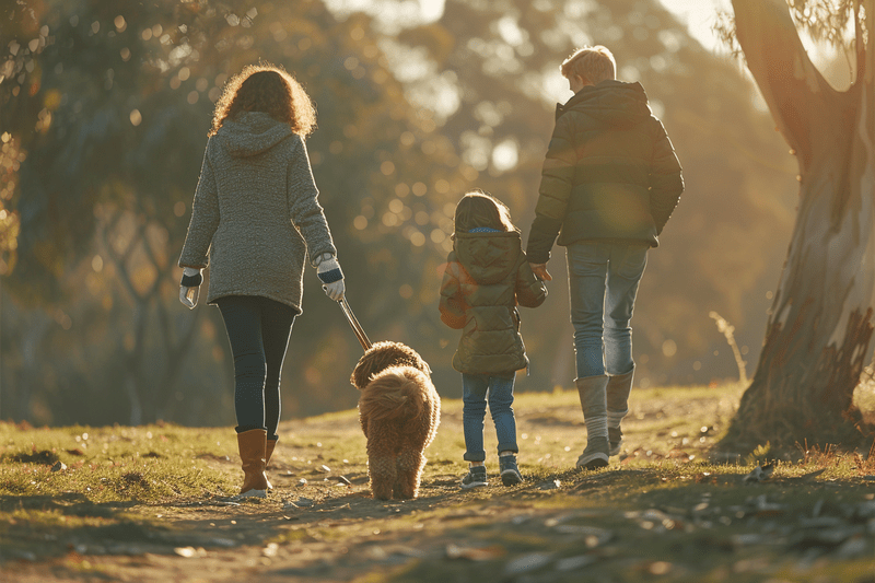 Cavoodle and family back shot