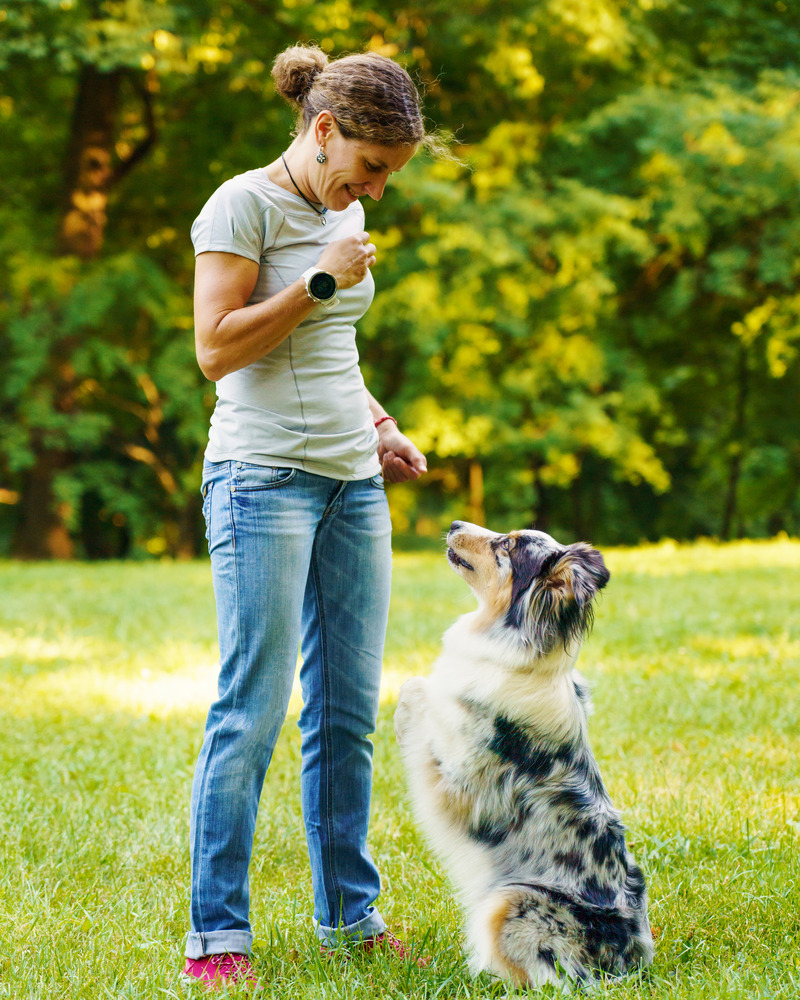 Lady teaching her dog to sit with food in her hand